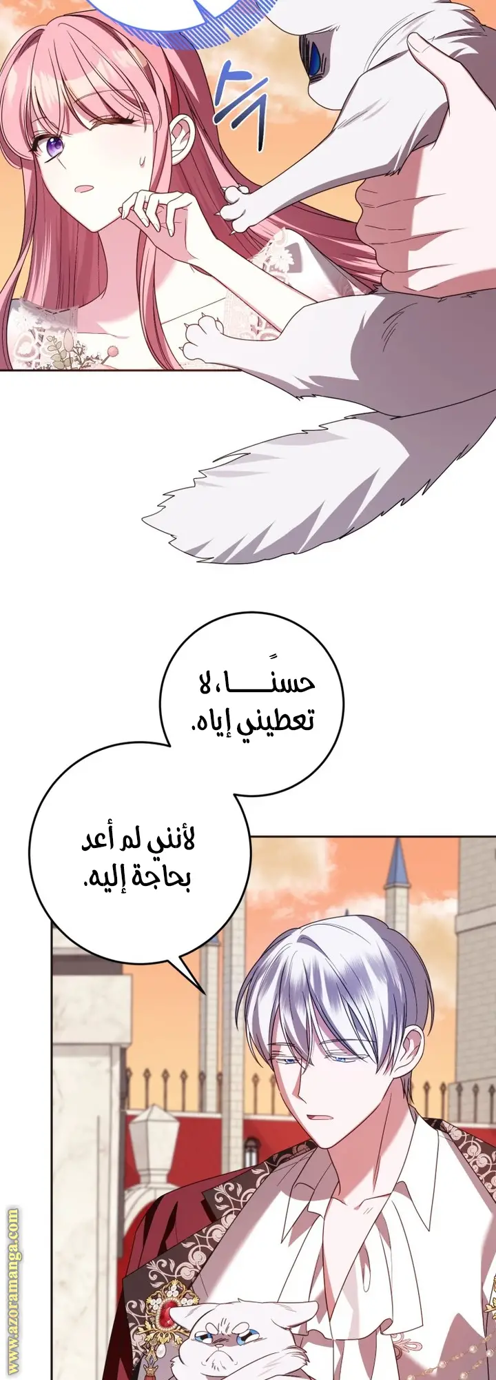 الصفحة 17
