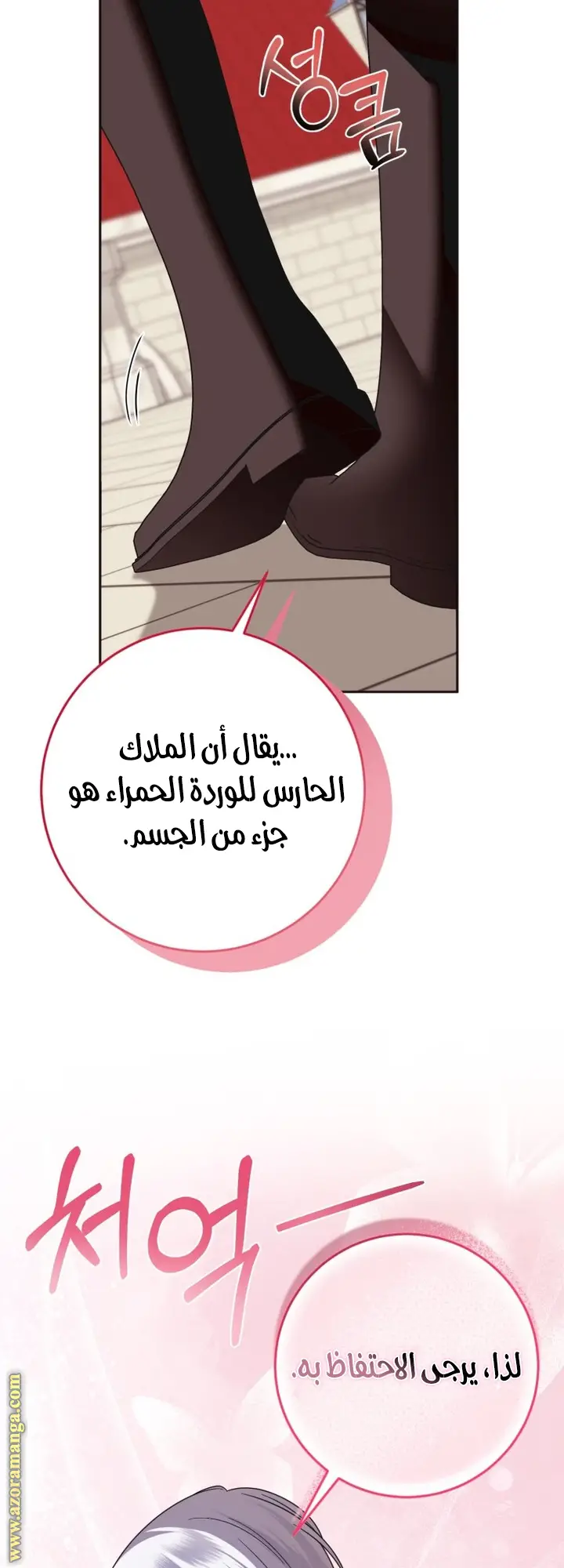 الصفحة 21