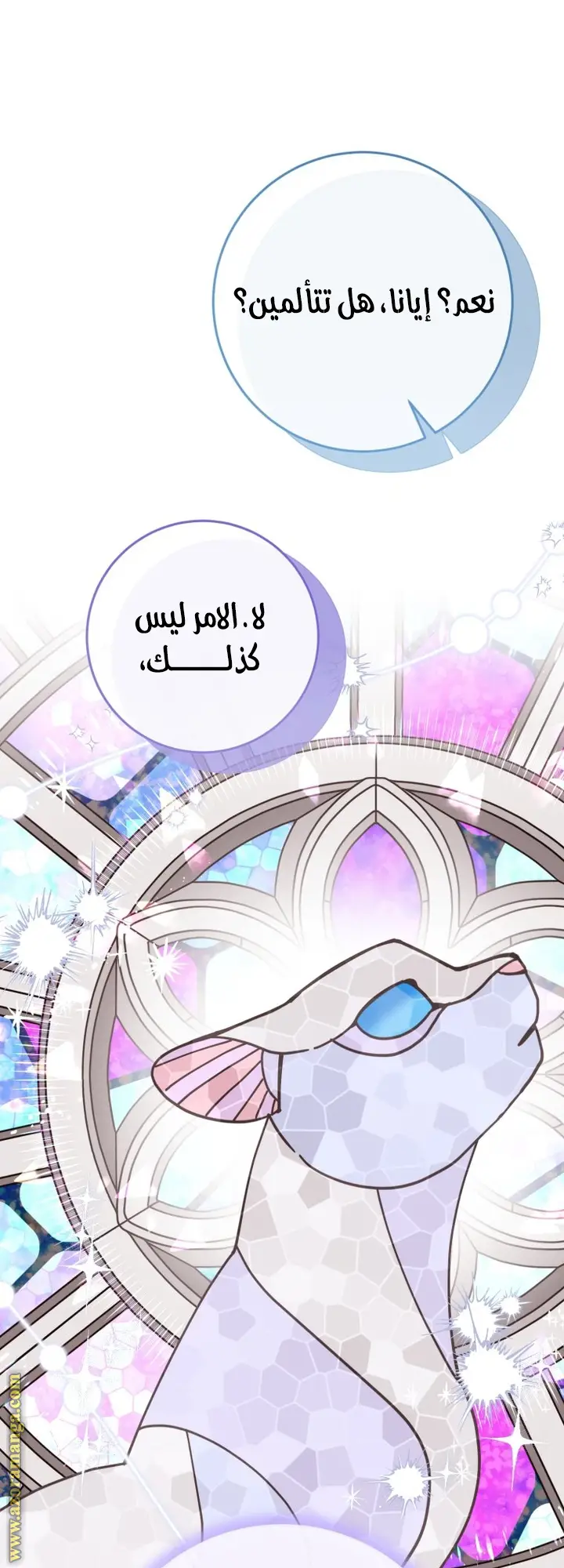 الصفحة 24