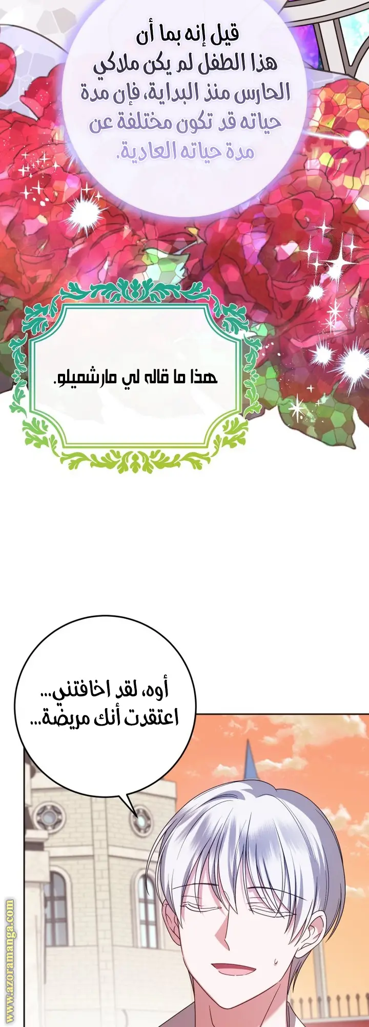 الصفحة 25