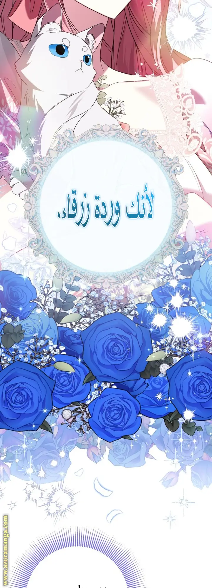 الصفحة 27