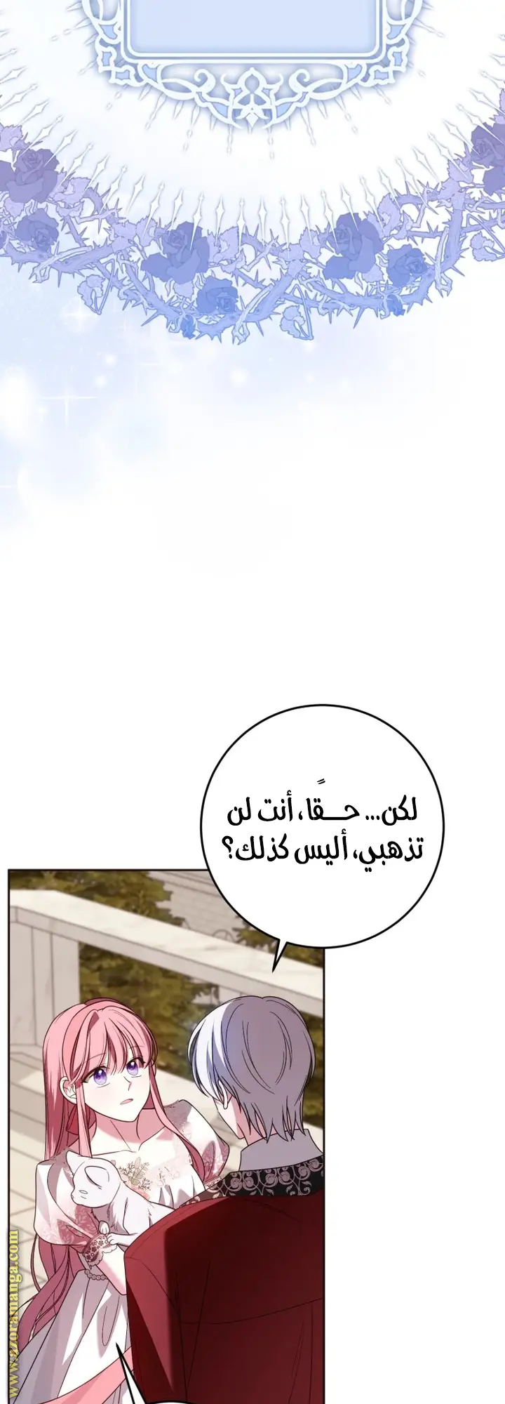 الصفحة 29