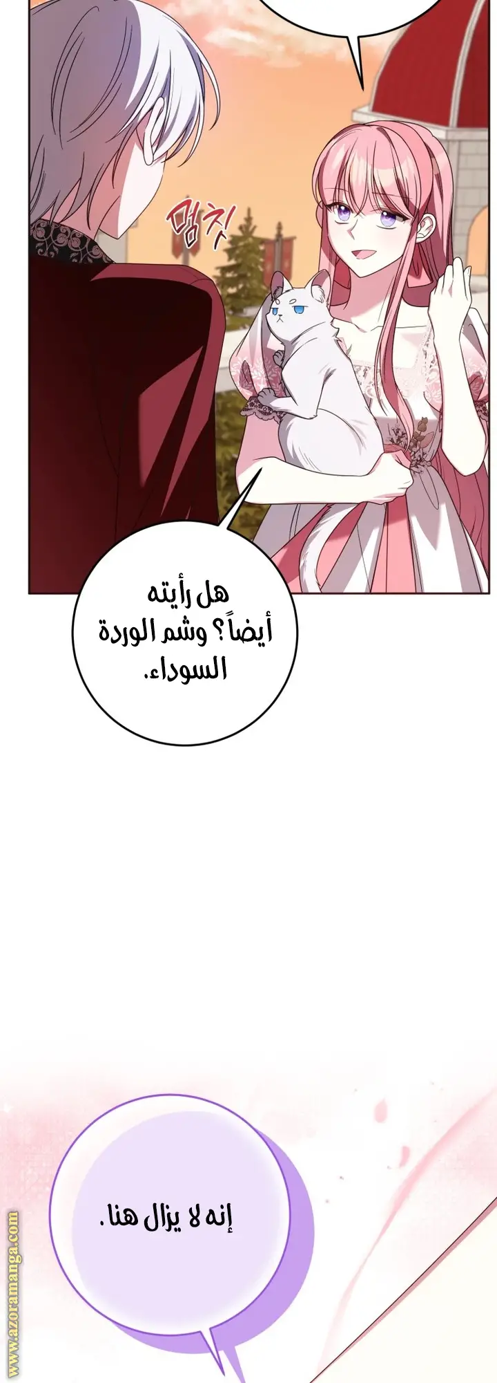الصفحة 31
