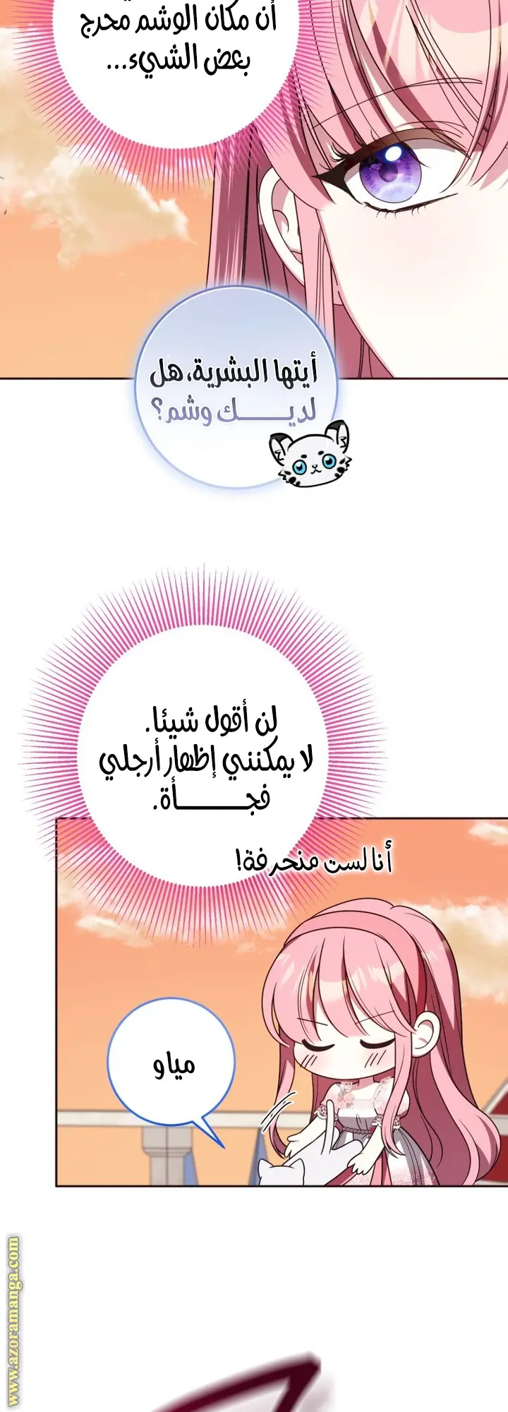 الصفحة 38