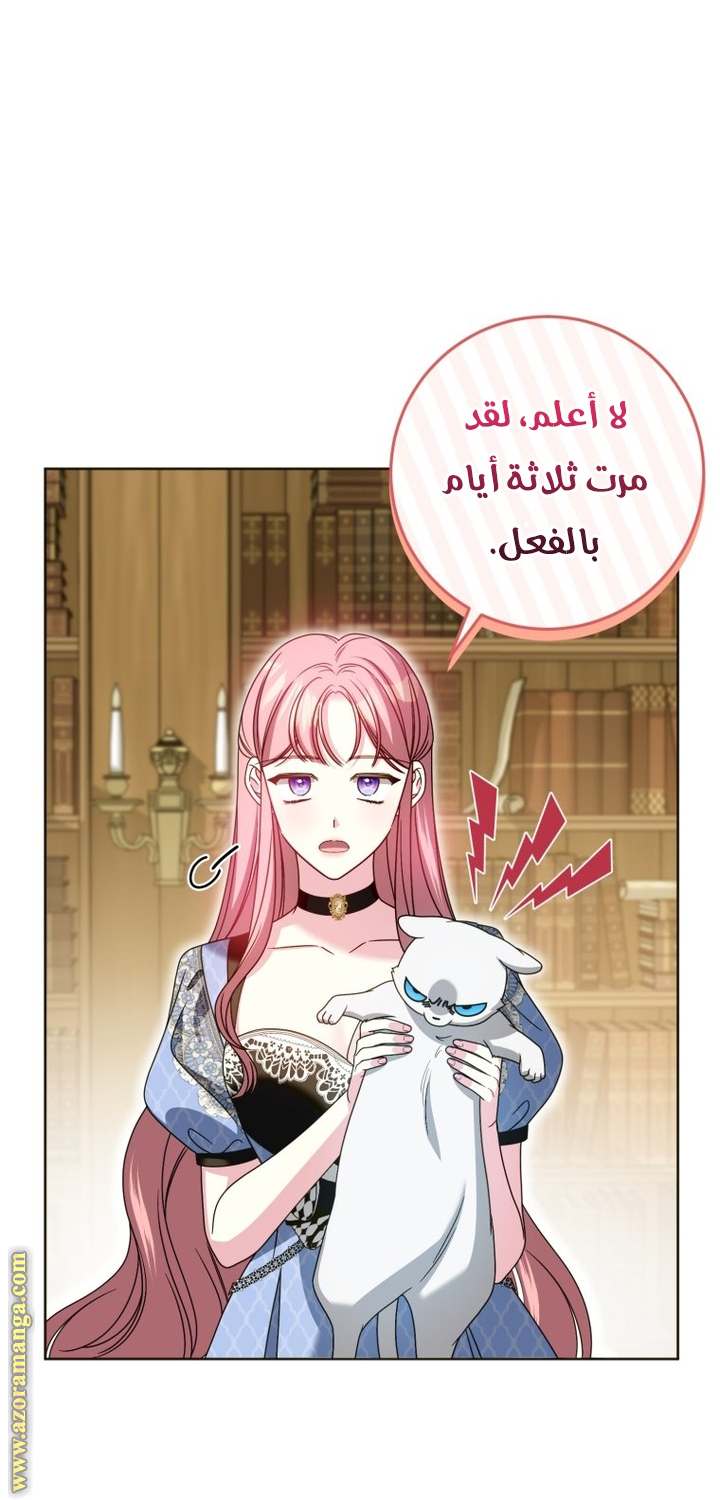 الصفحة 3