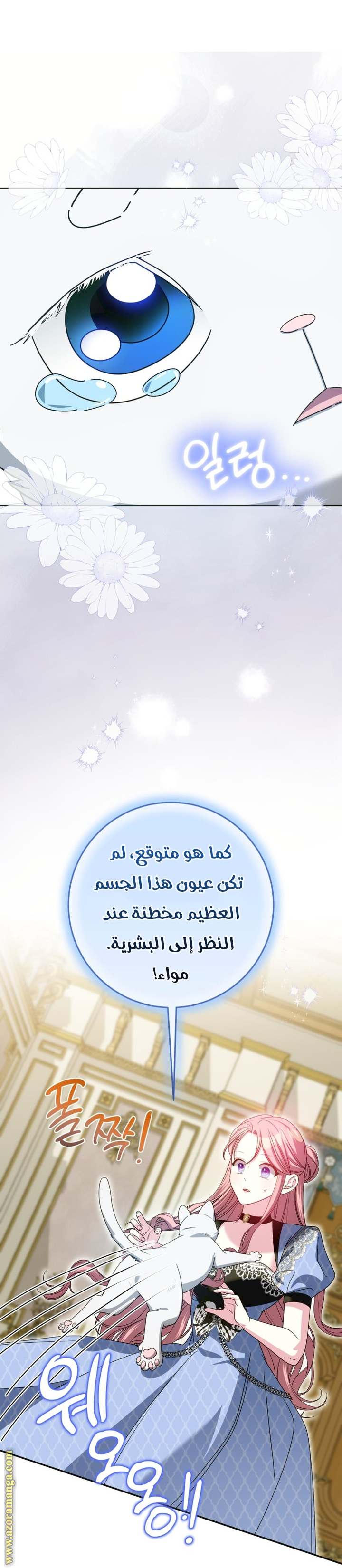 الصفحة 25