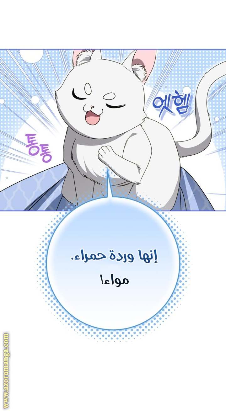 الصفحة 42