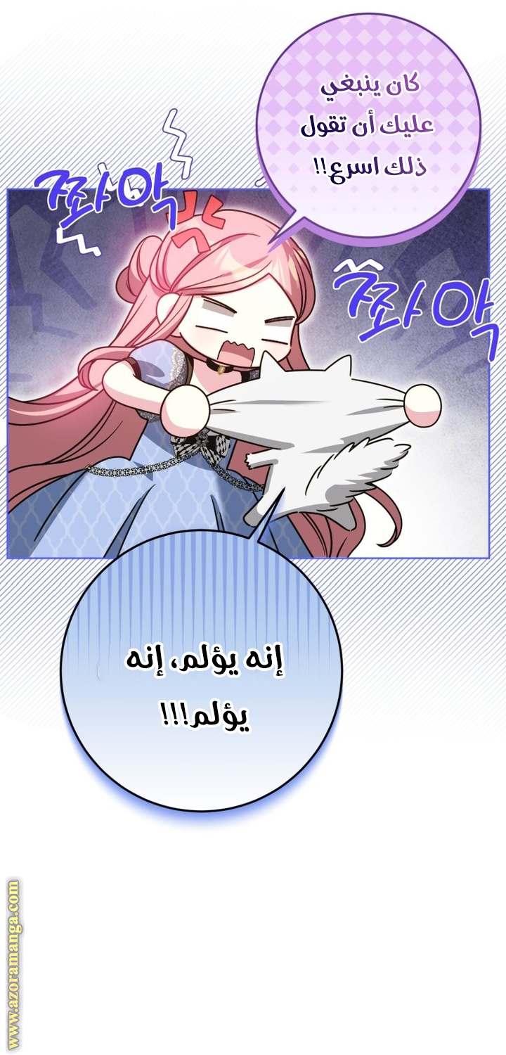 الصفحة 43