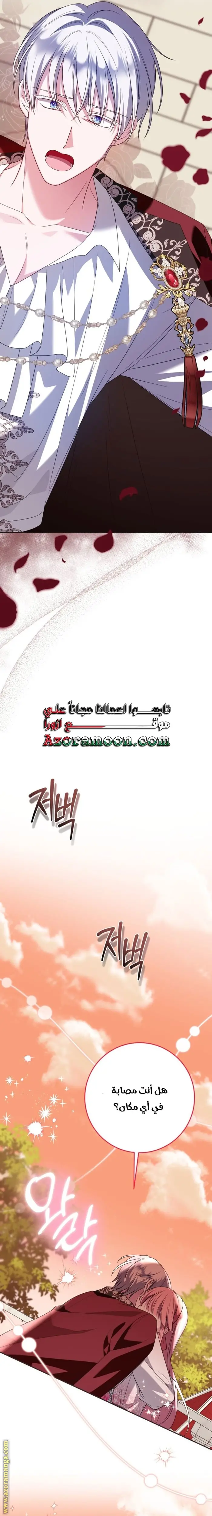 الصفحة 22