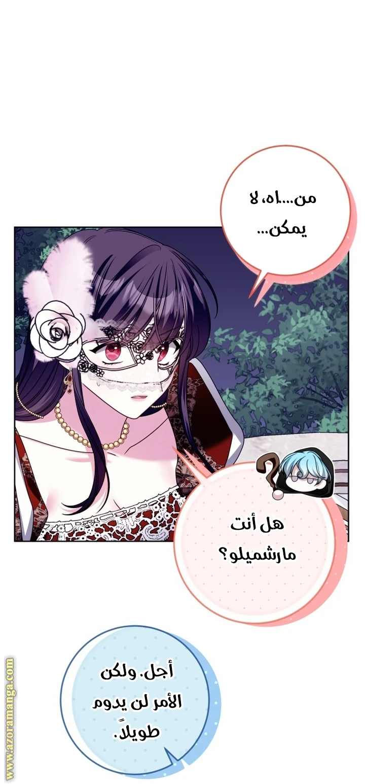 الصفحة 41