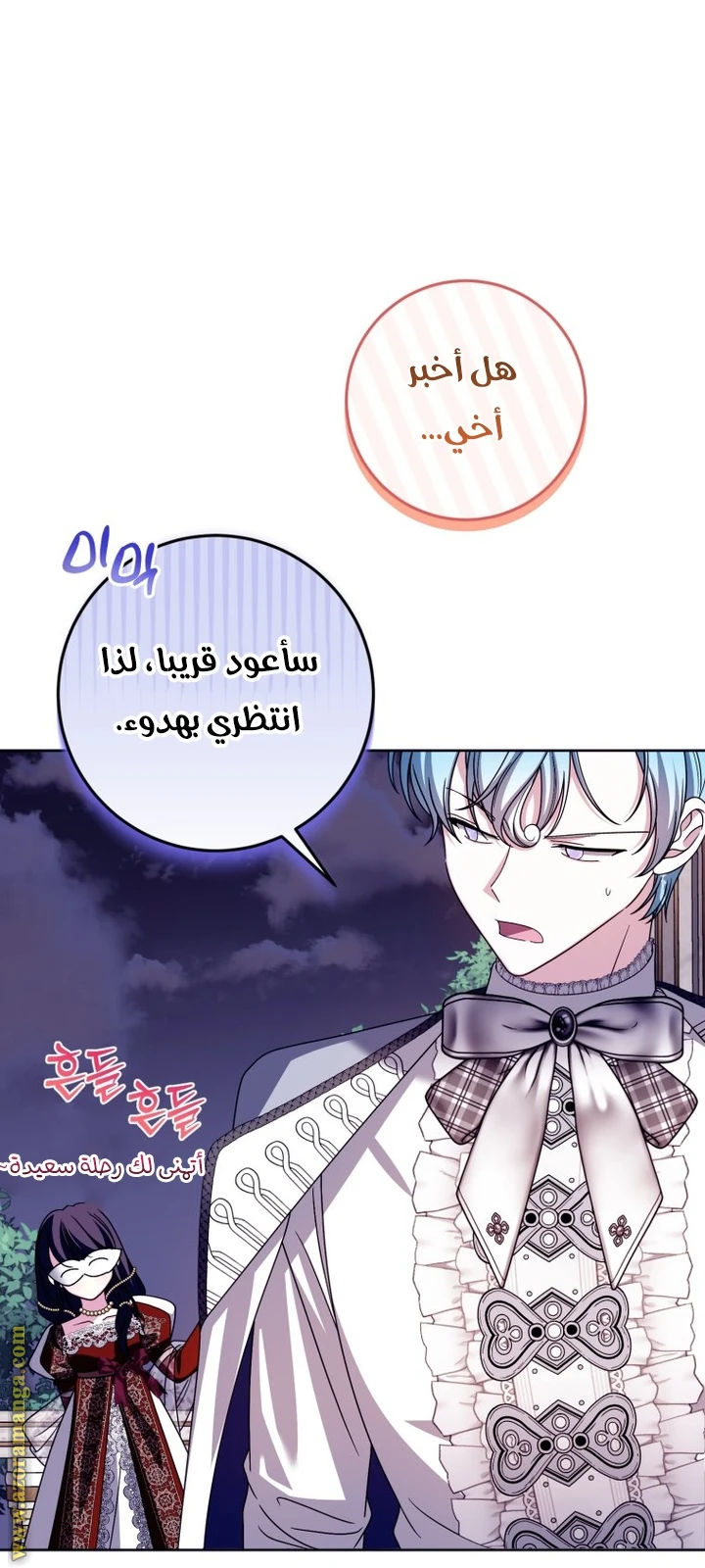 الصفحة 46