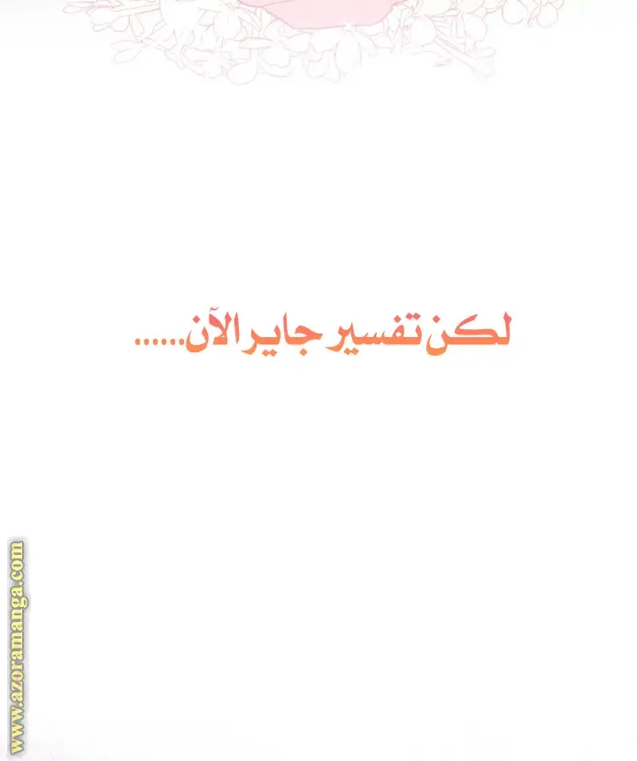 الصفحة 40