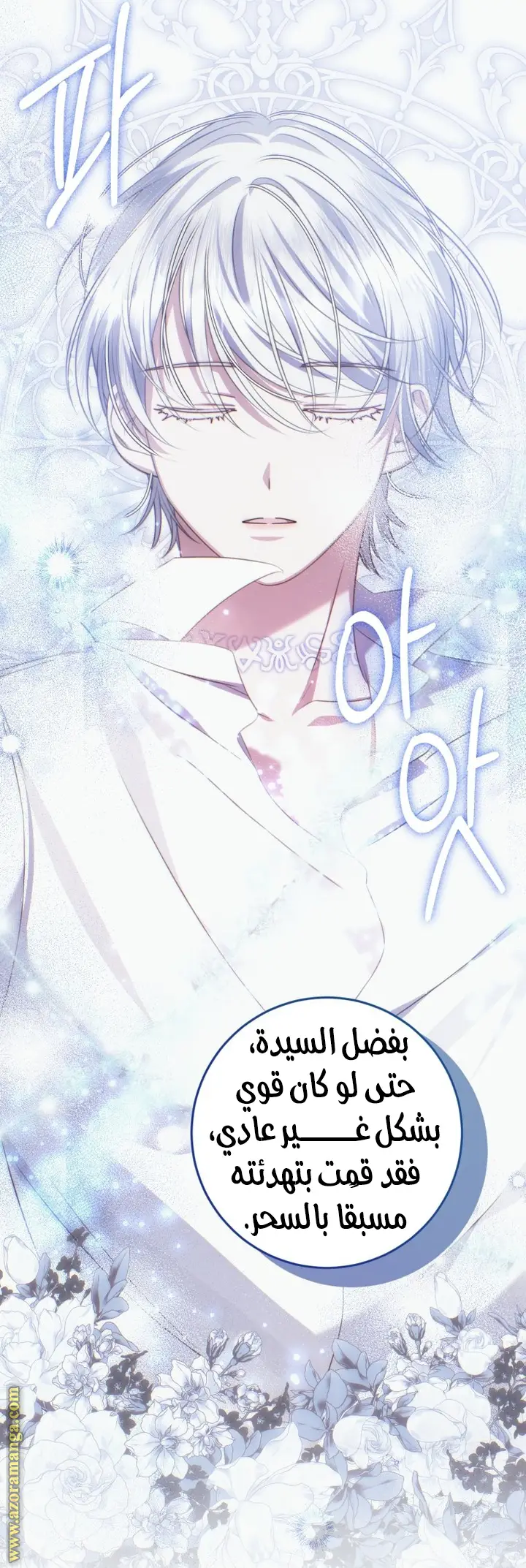 الصفحة 43