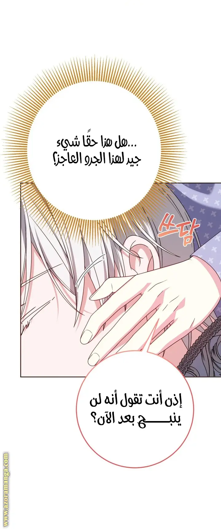 الصفحة 53