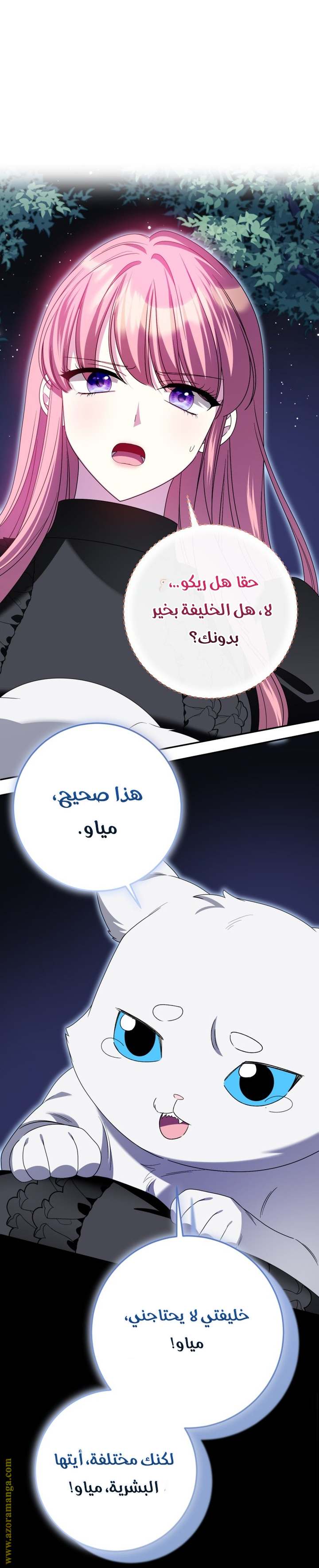 الصفحة 13
