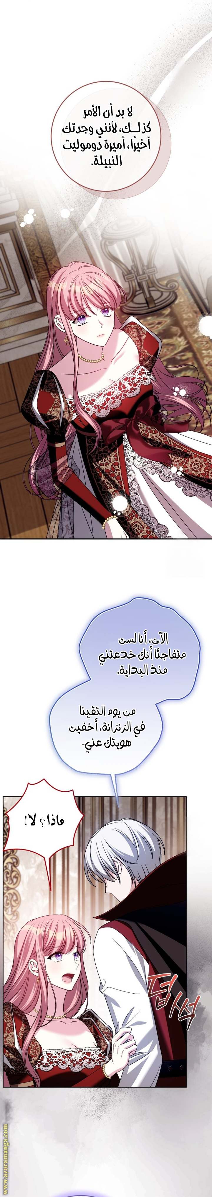 الصفحة 25