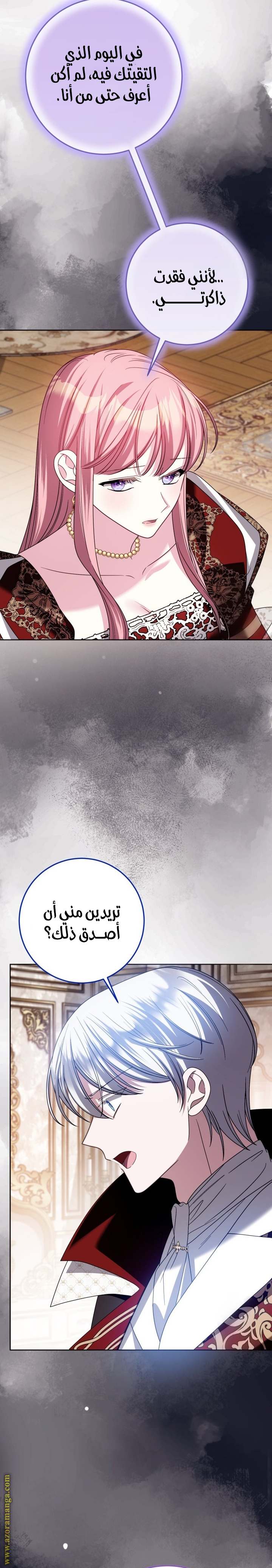 الصفحة 26