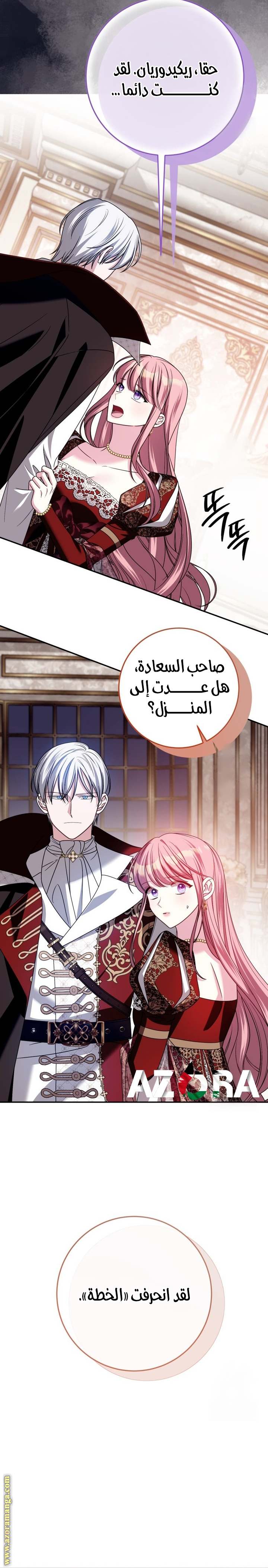 الصفحة 27