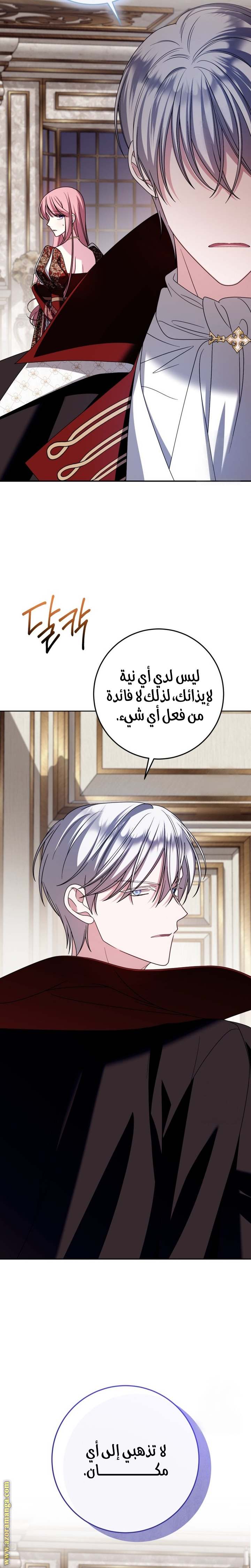 الصفحة 29