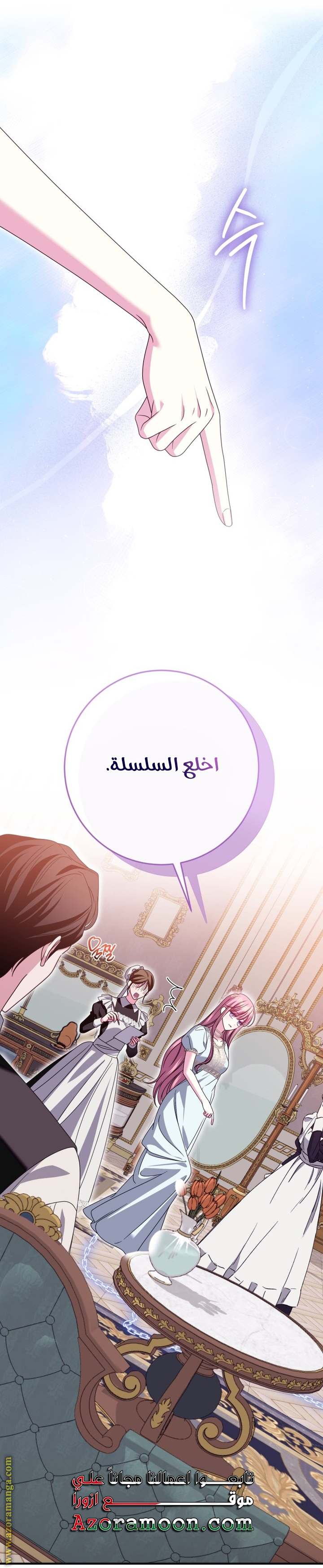 الصفحة 17