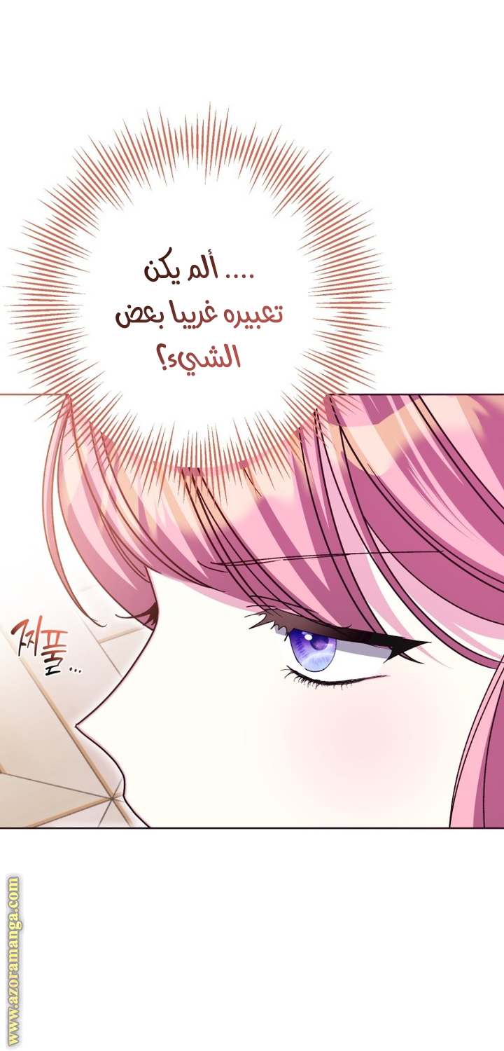 الصفحة 26
