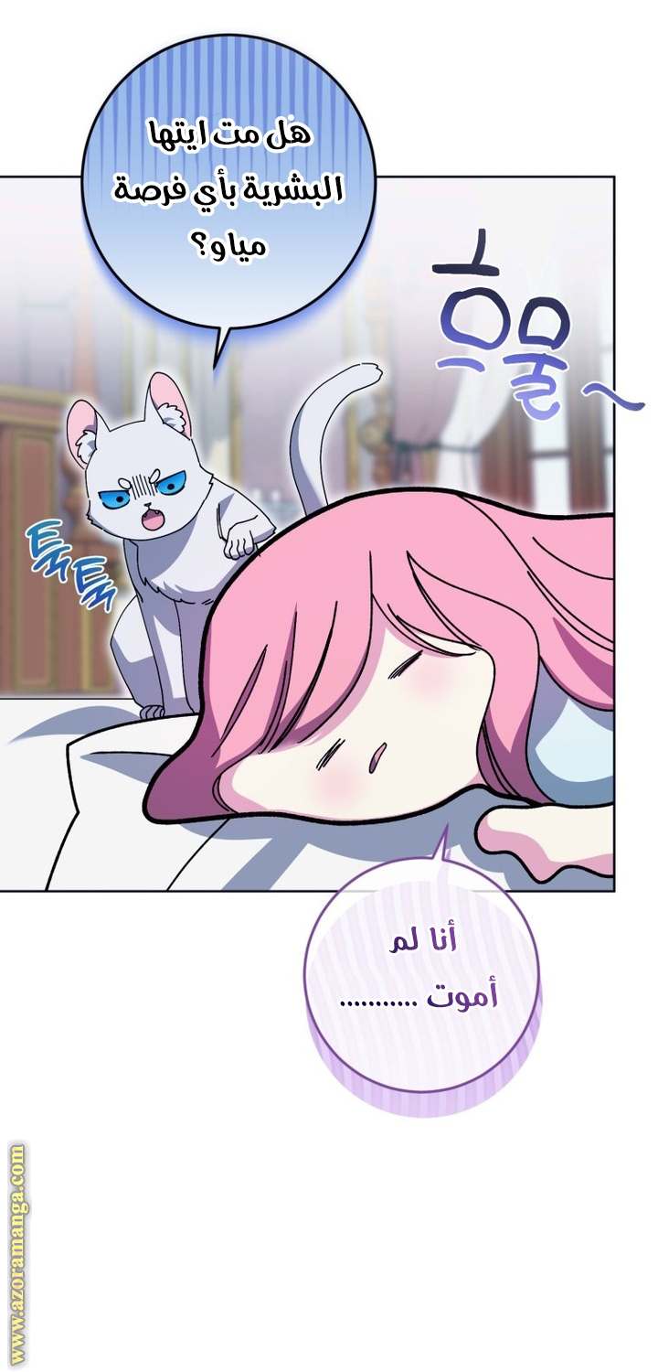 الصفحة 30