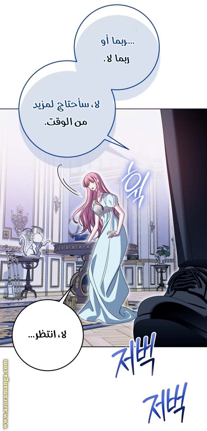 الصفحة 46
