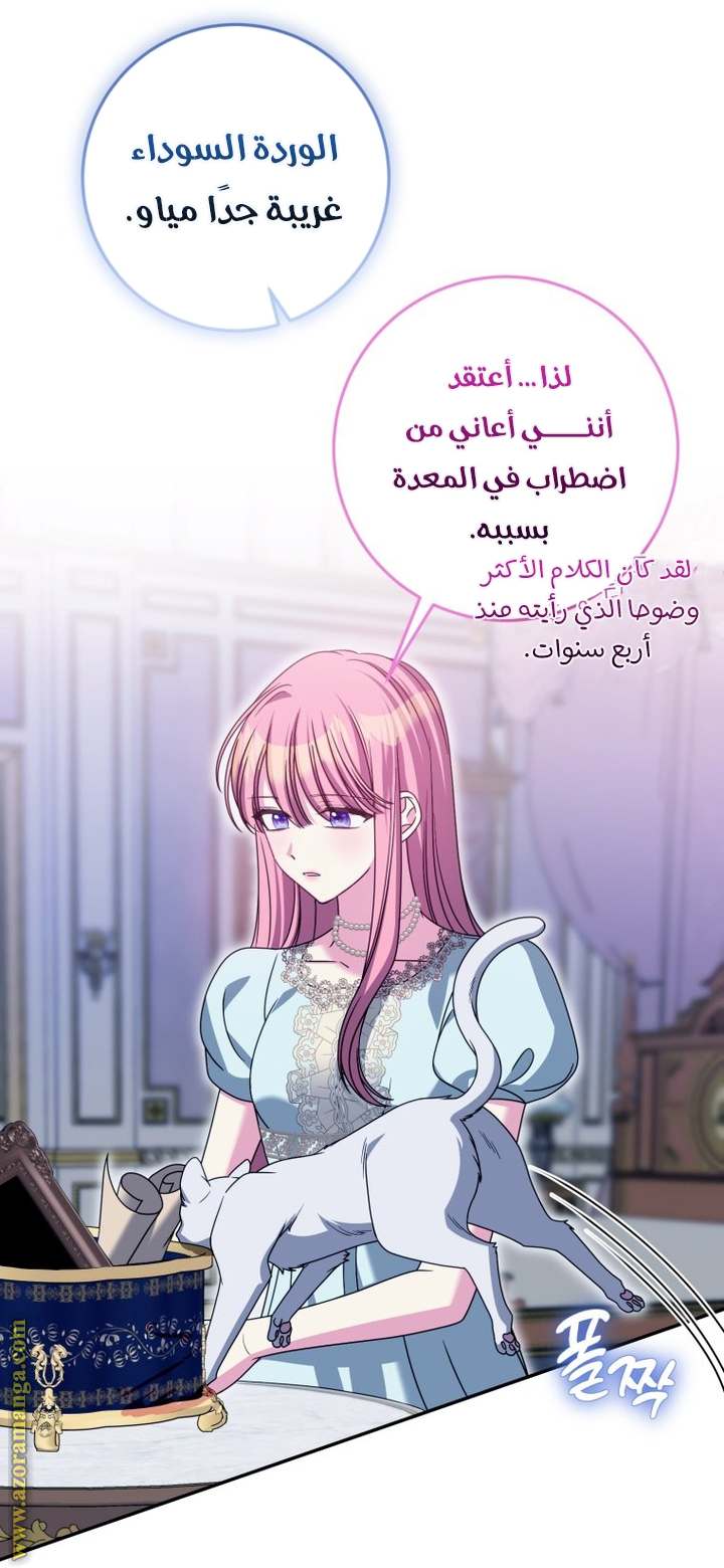 الصفحة 50