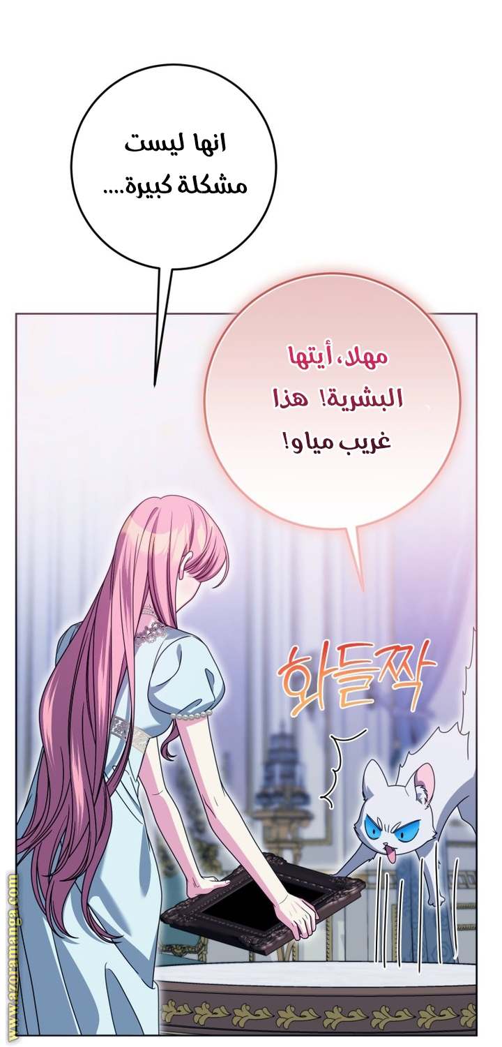الصفحة 54