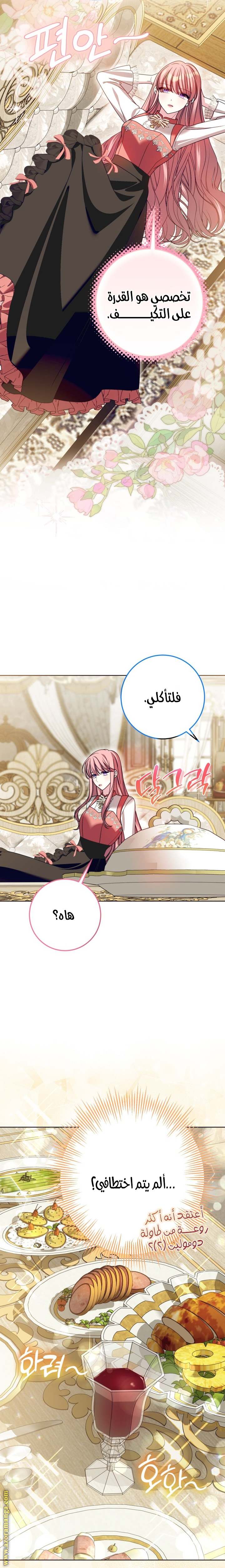 الصفحة 14