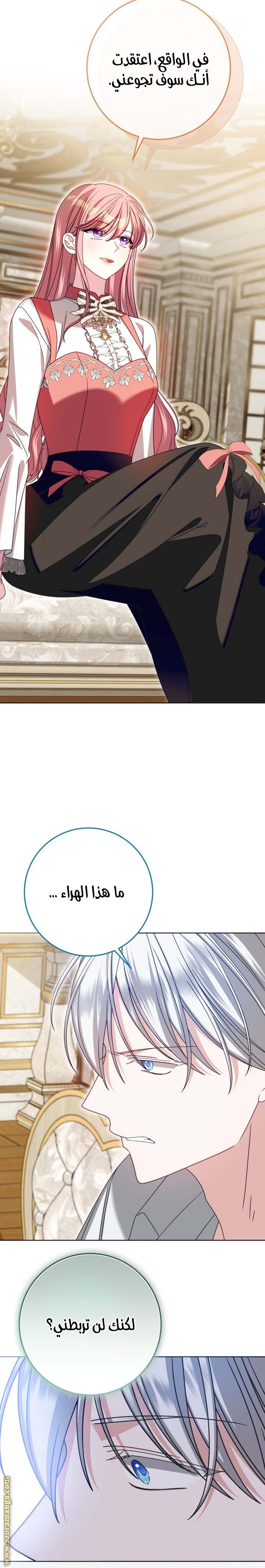 الصفحة 16