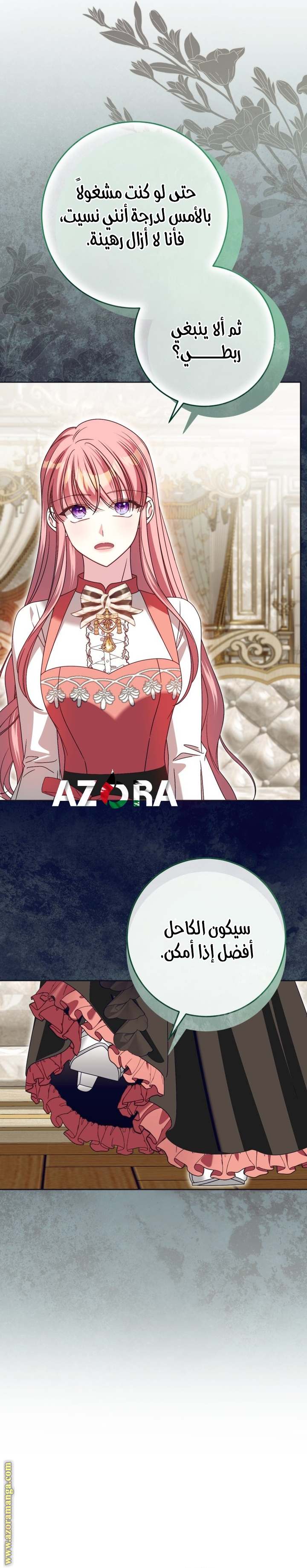 الصفحة 17