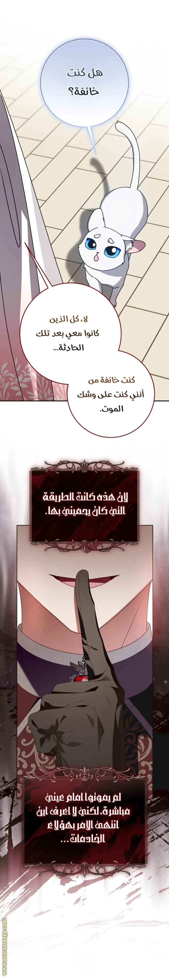 الصفحة 24