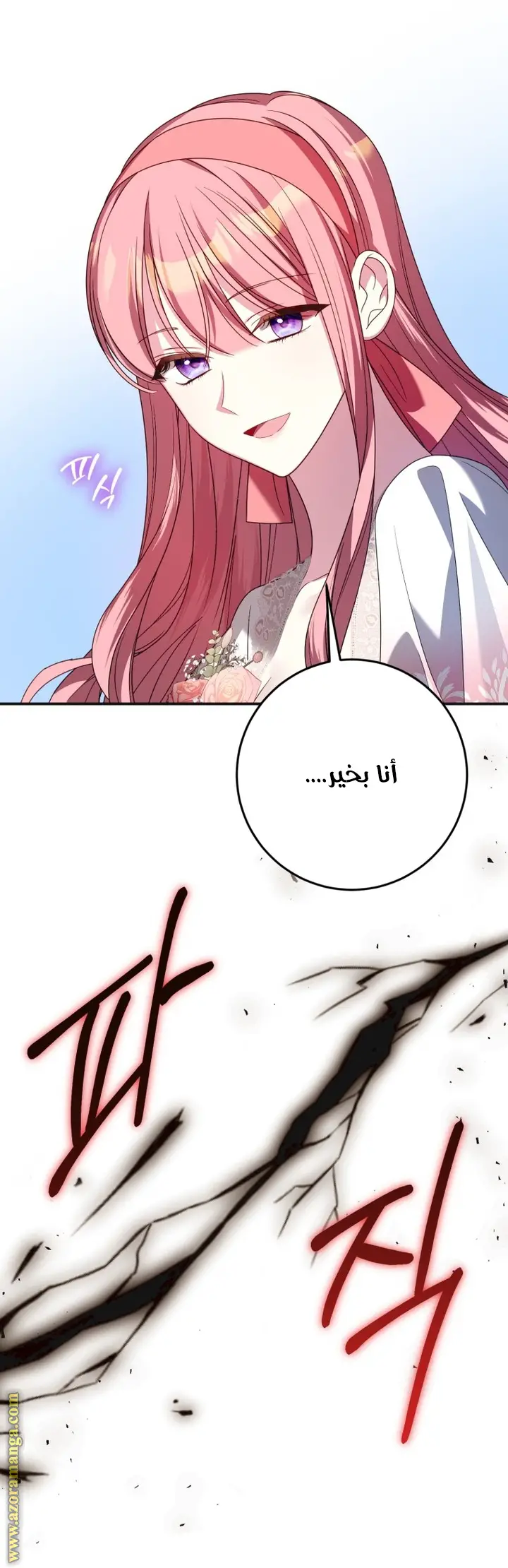 الصفحة 26