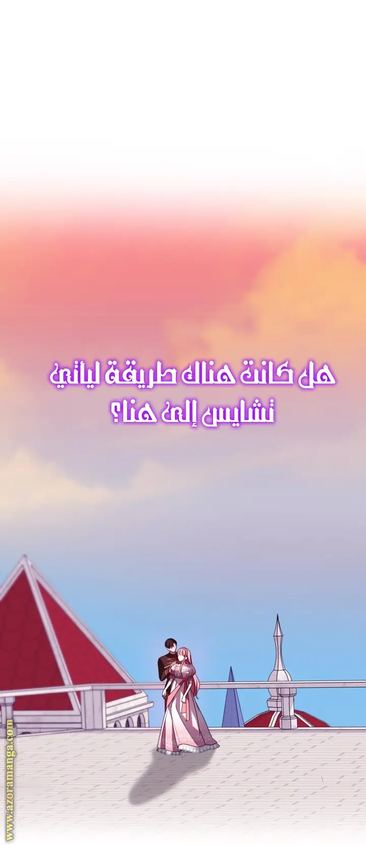 الصفحة 29