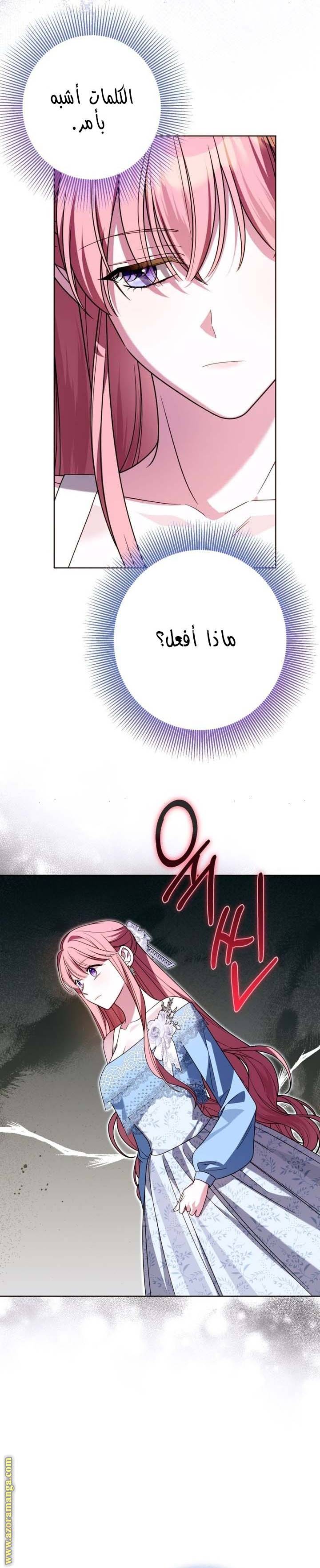 الصفحة 25