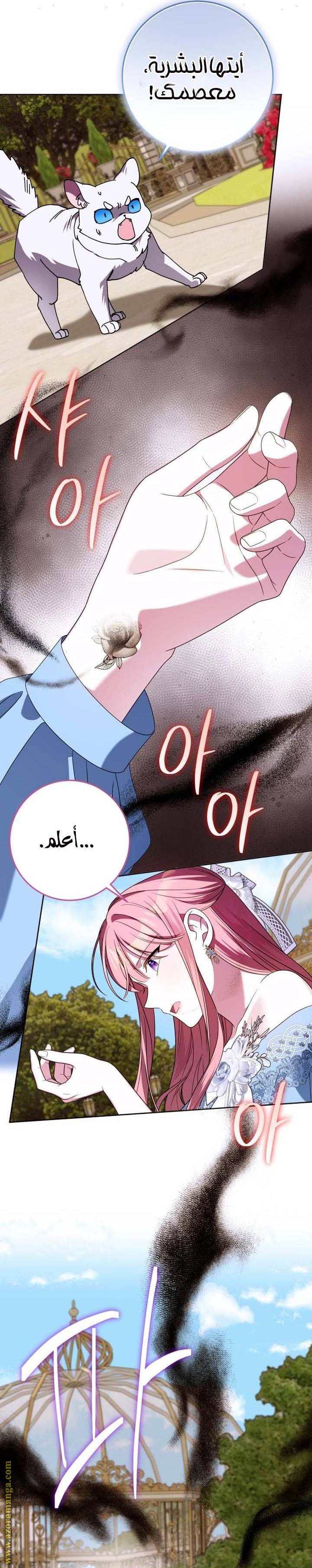 الصفحة 26