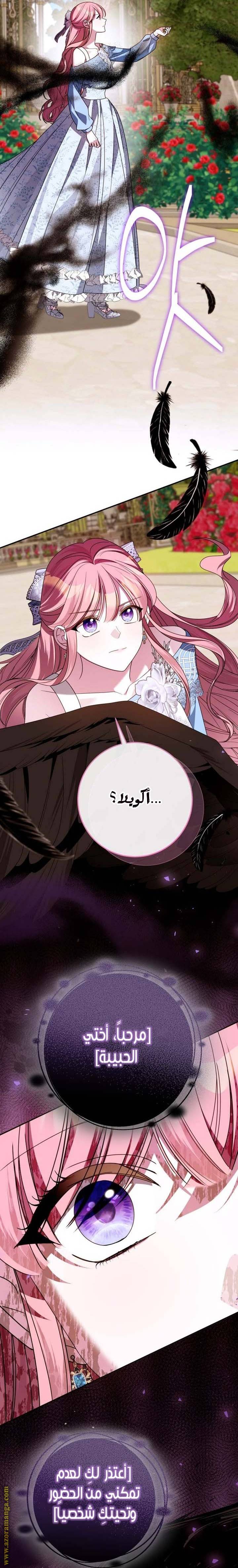 الصفحة 27