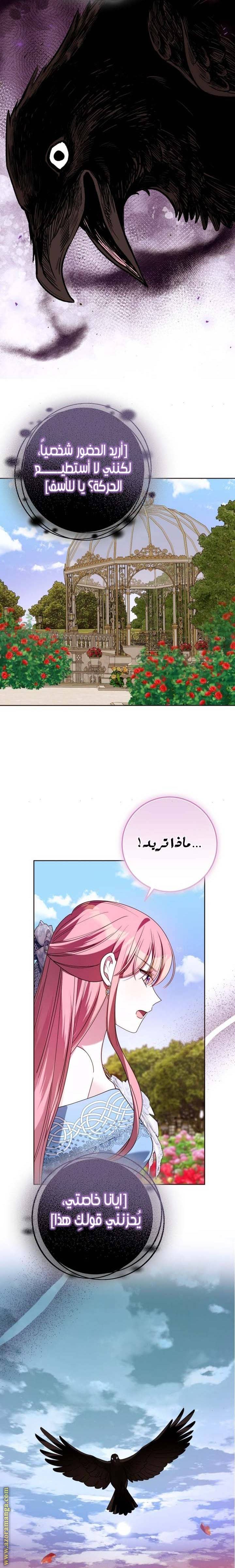 الصفحة 28