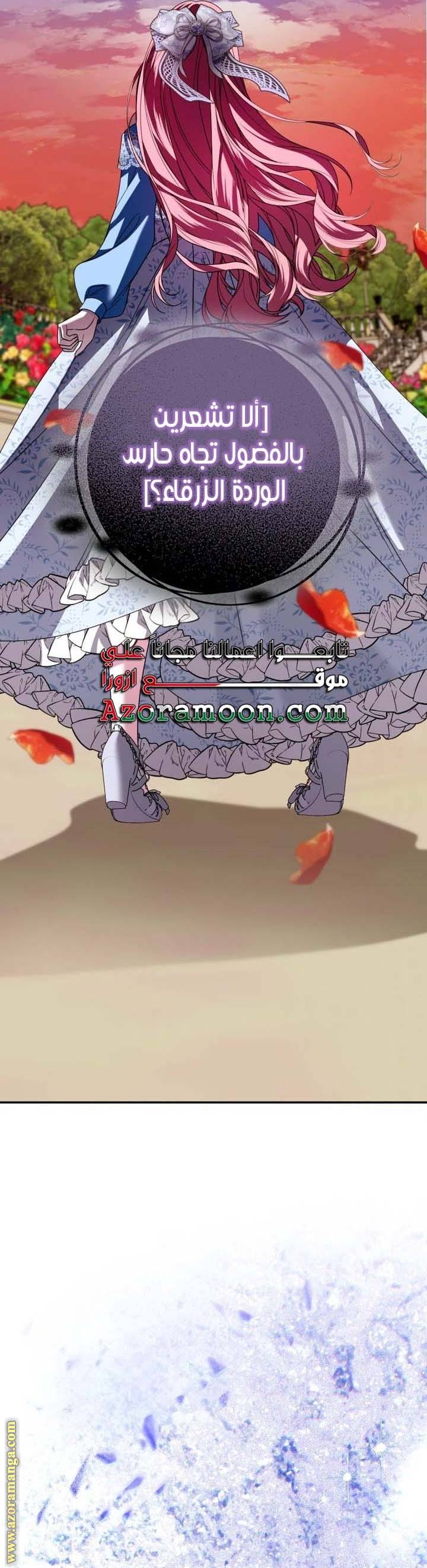 الصفحة 29