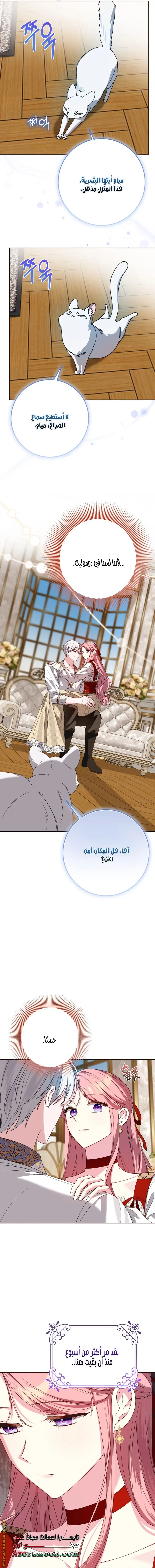 الصفحة 4