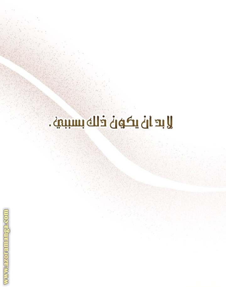 الصفحة 27
