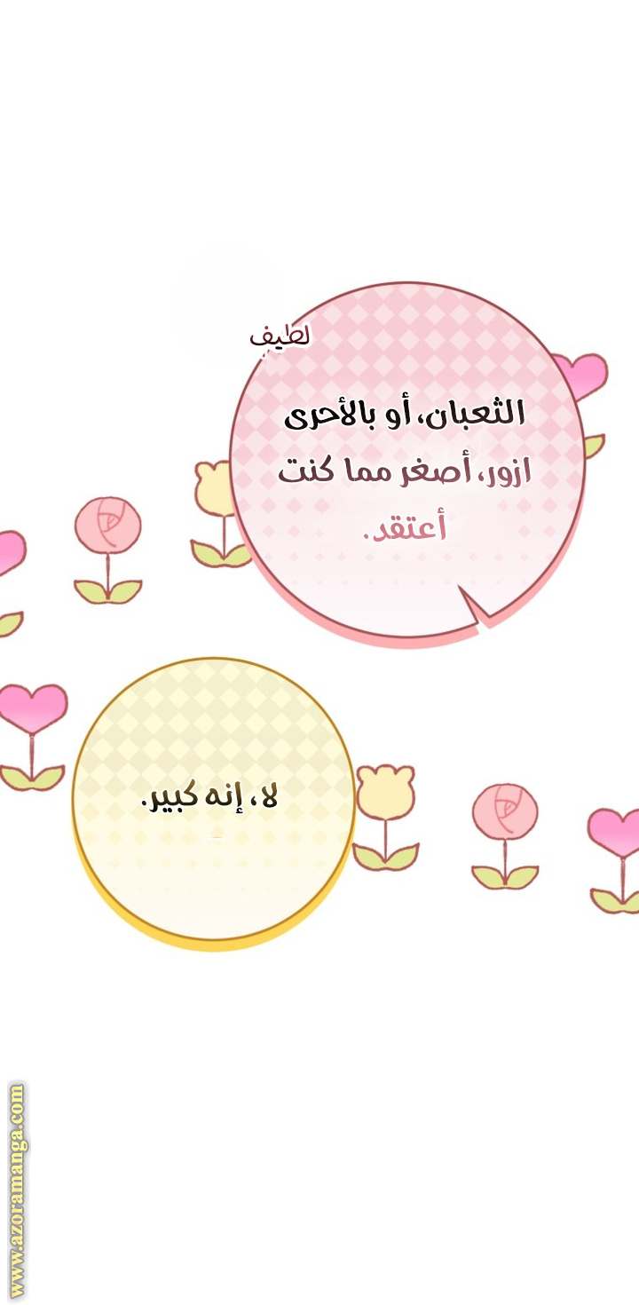 الصفحة 40