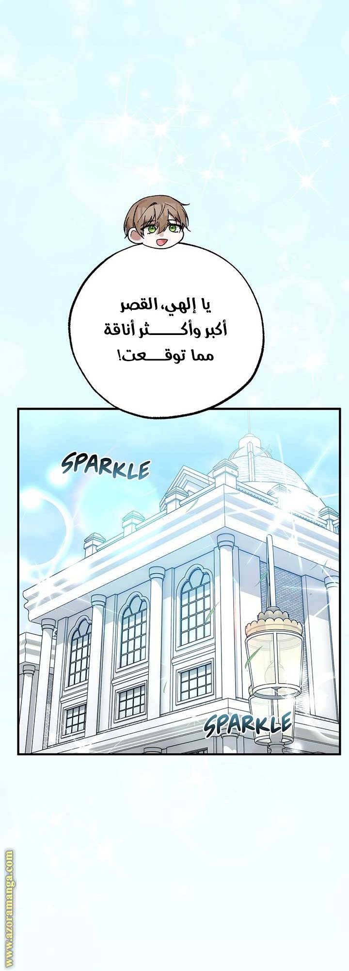 الصفحة 19