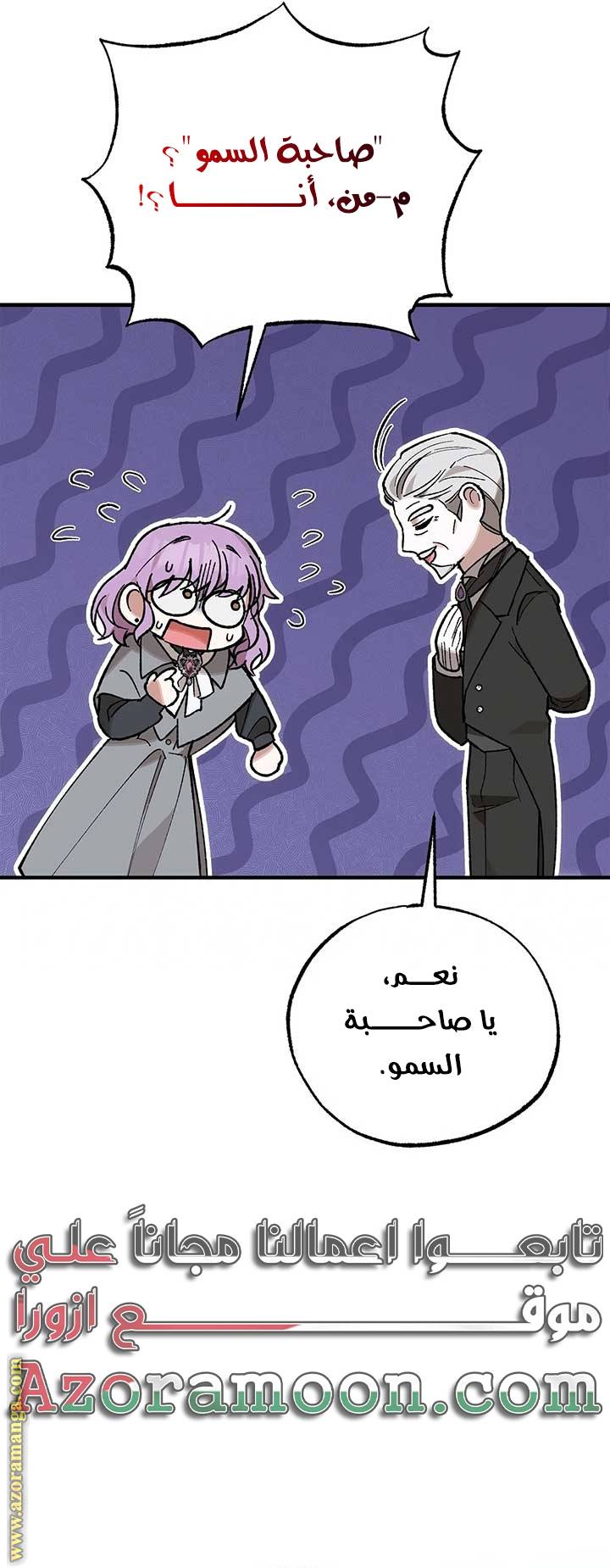 الصفحة 29