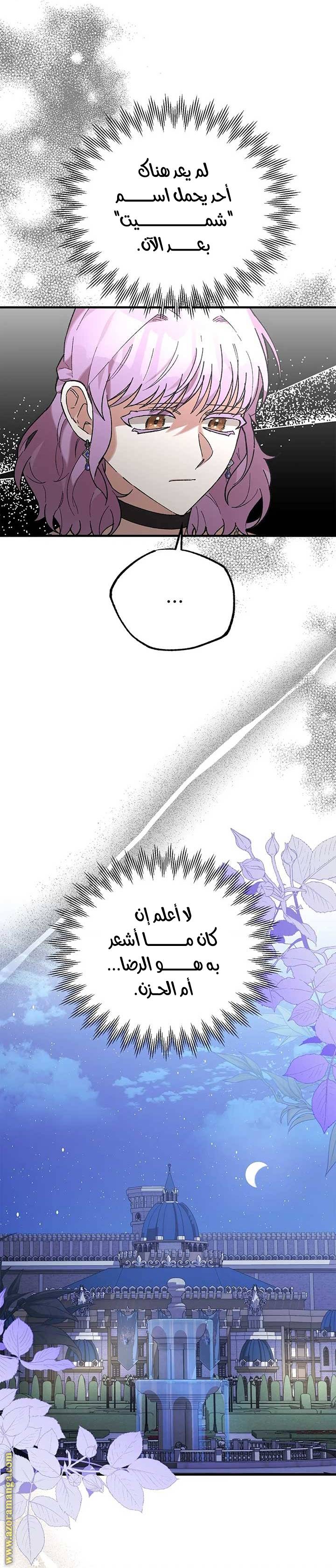 الصفحة 49