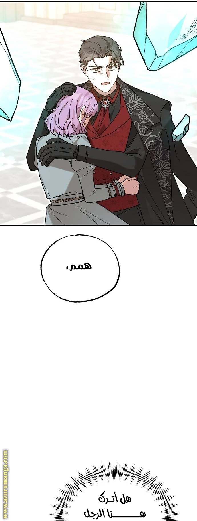 الصفحة 13