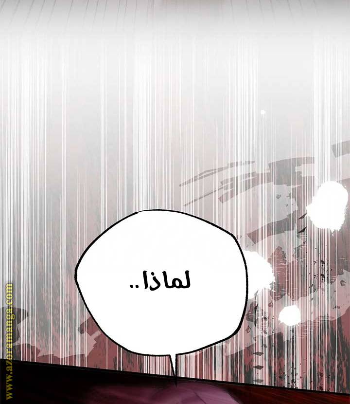 الصفحة 41