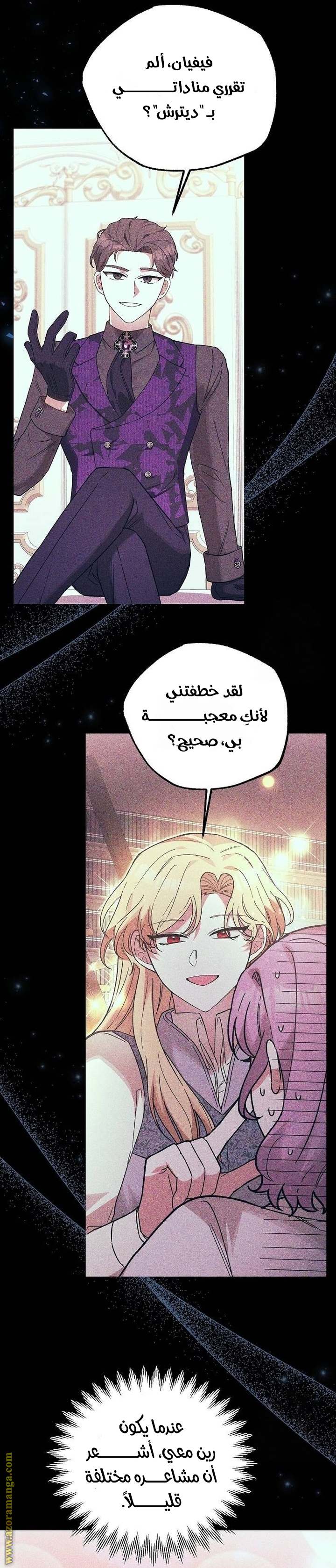الصفحة 13