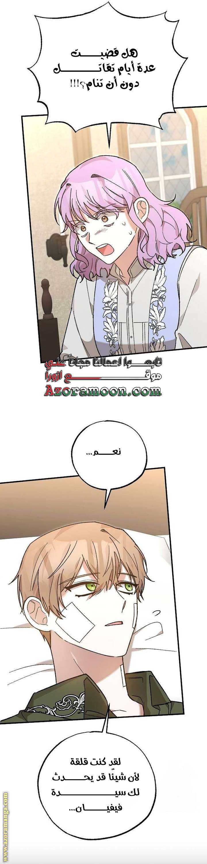 الصفحة 27
